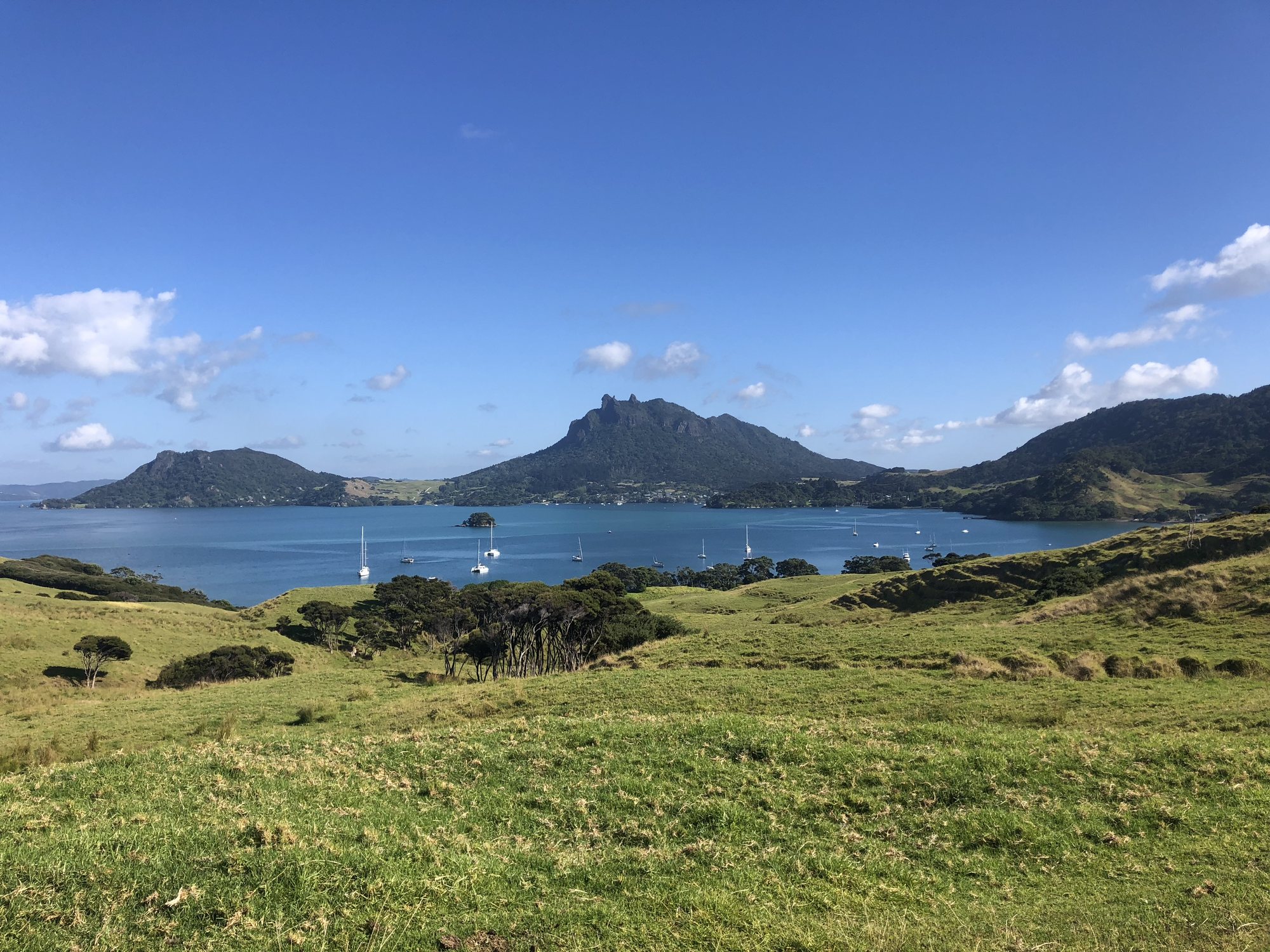 New Zealand