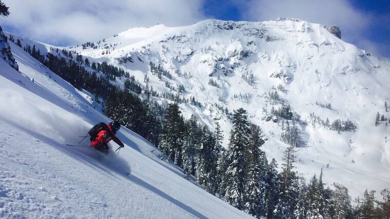 Fresh tracks under the wall