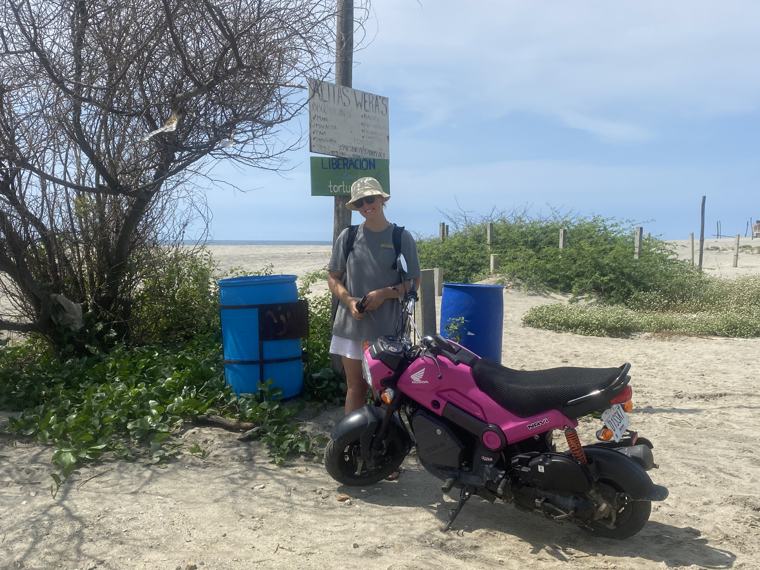 Oaxaca coast, Mexico